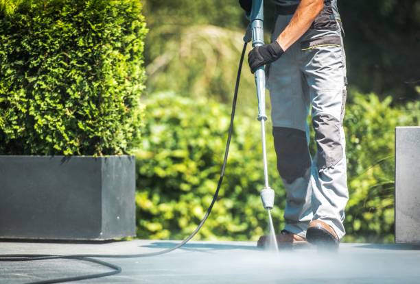 Best Driveway Cleaning and Restoration in USA